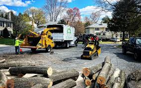 Reliable Westland, MI  Tree Services Solutions