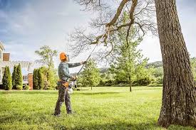 Best Tree Disease Treatment  in Westland, MI